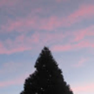 Meet your Posher, Aurora